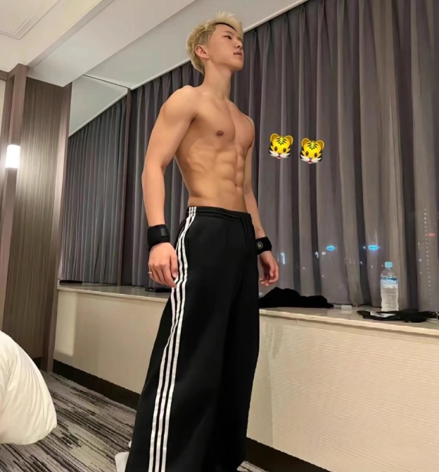 Seventeen Hoshi inspired Triple Stripes Pants