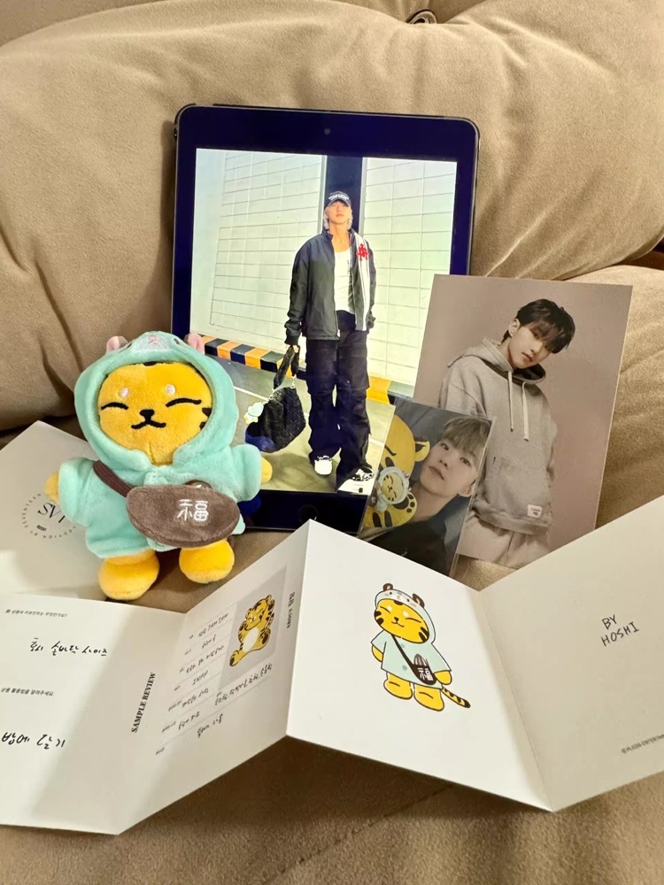 SEVENTEEN Hoshi I inspired Tiger Keychain include cloth