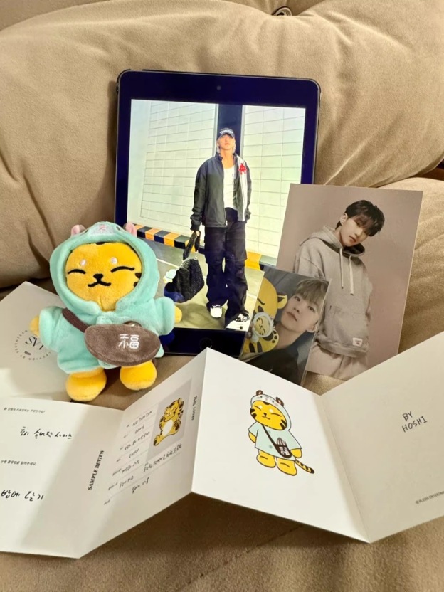 SEVENTEEN Hoshi I inspired Tiger Keychain include cloth