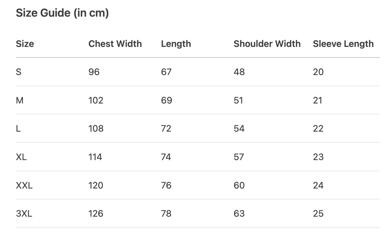 SEVENTEEN Mingyu Mexico Music Festival inspired Style T-Shirt