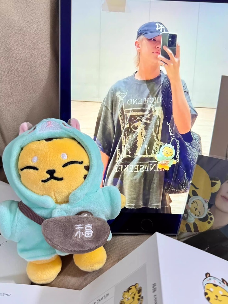 SEVENTEEN Hoshi I inspired Tiger Keychain include cloth