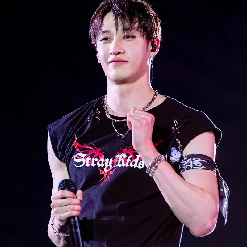 Stray Kids World Tour 'dominATE' Inspired Oversized Cotton T-Shirt