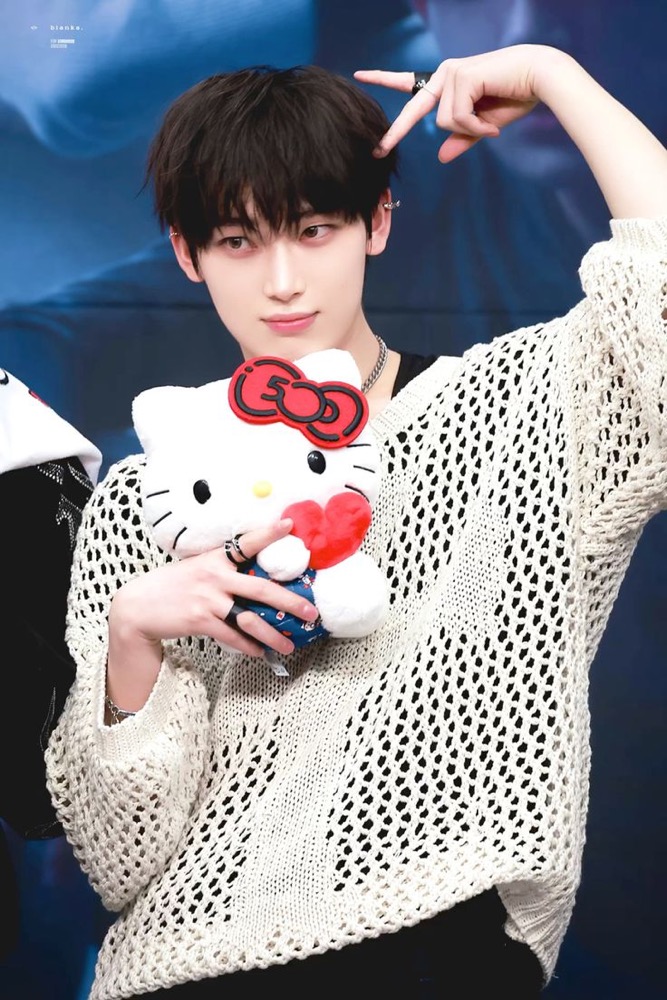 Enhypen SUNOO Inspired See Through Knitted Sweater Top