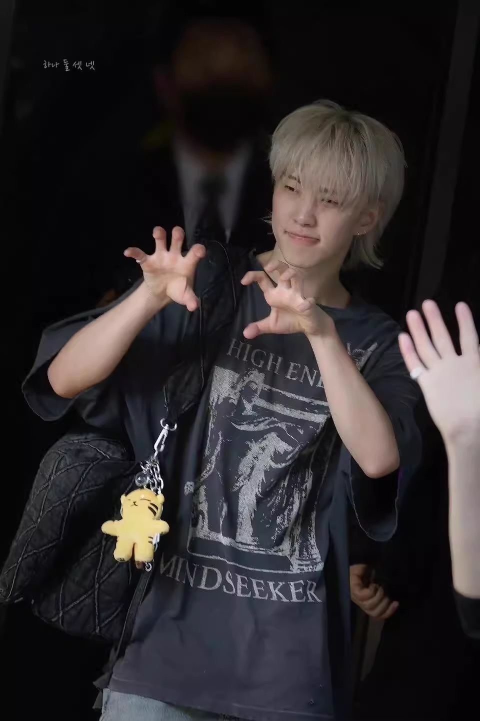 SEVENTEEN Hoshi I inspired Tiger Keychain include cloth