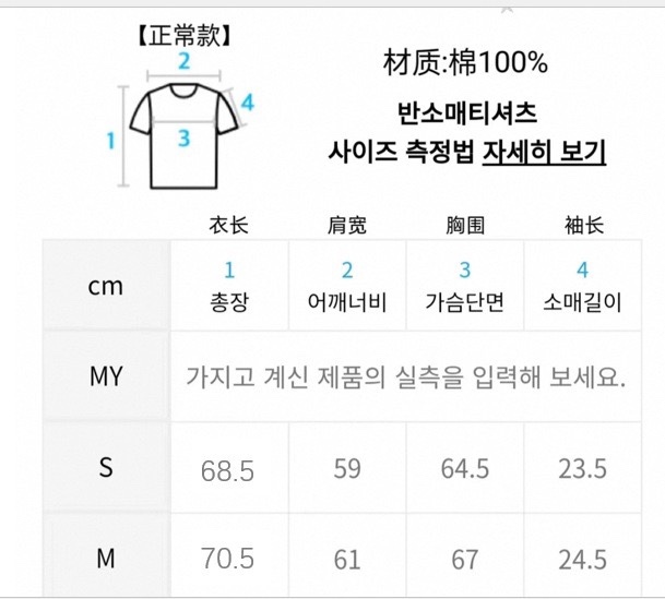 TWICE Nayeon Inspired Vintage Sailor Moon Graphic Tee