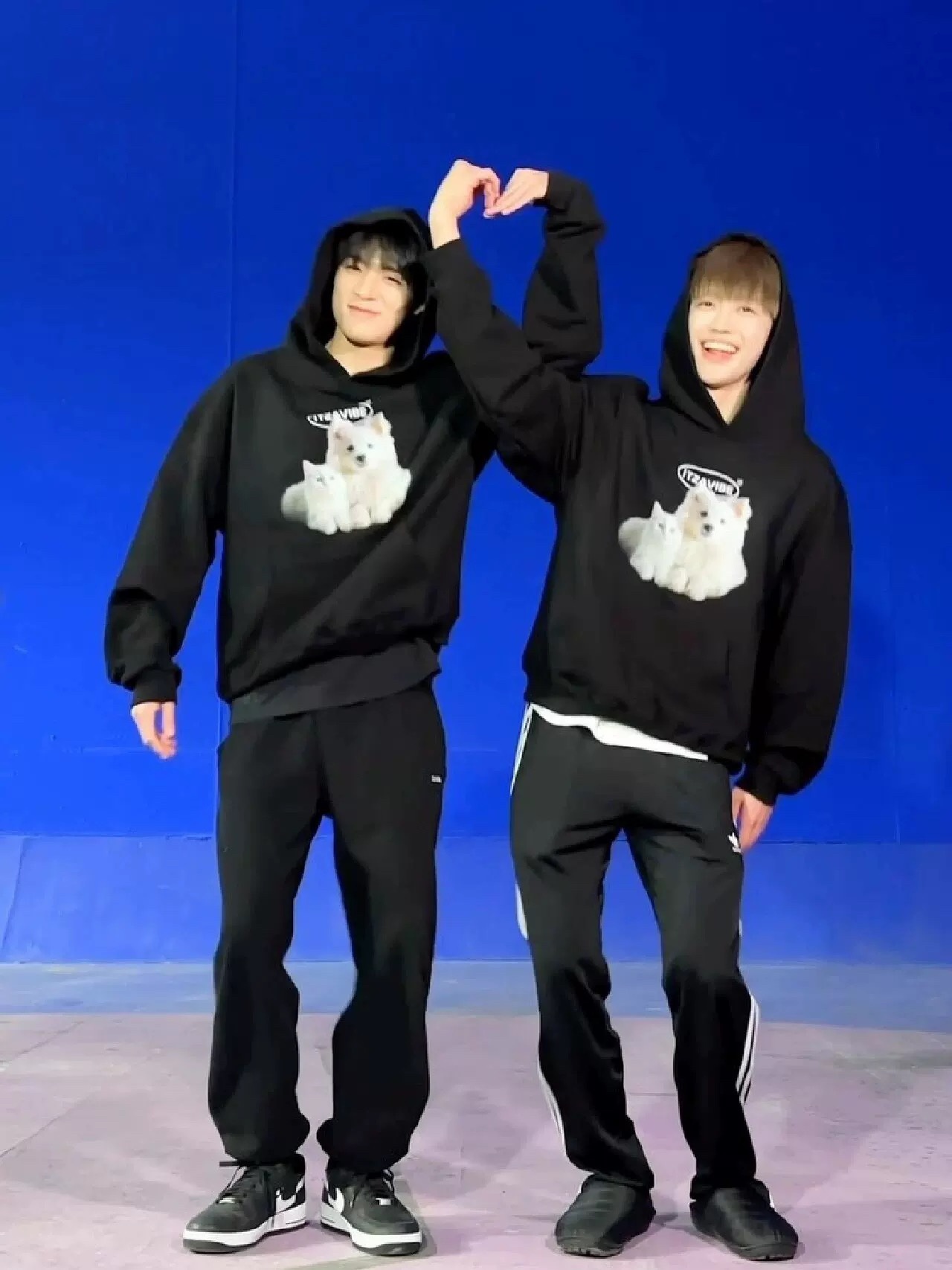 NCT RENJUN & JAEMIN Inspired Cat-Dog Hoodie