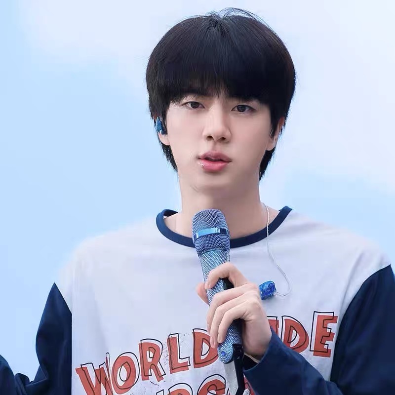 BTS JIN RunSeokjin Tour Merch Inspired T-shirt