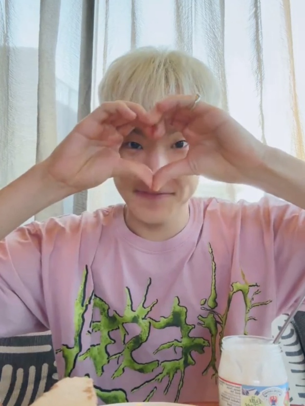 Seventeen Hoshi Inspired Pink T-shirt 