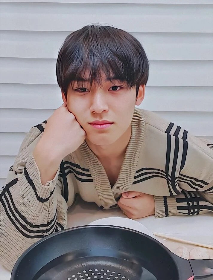 Khaki Plaid Knitted Cardigan -Mingyu – Seventeen