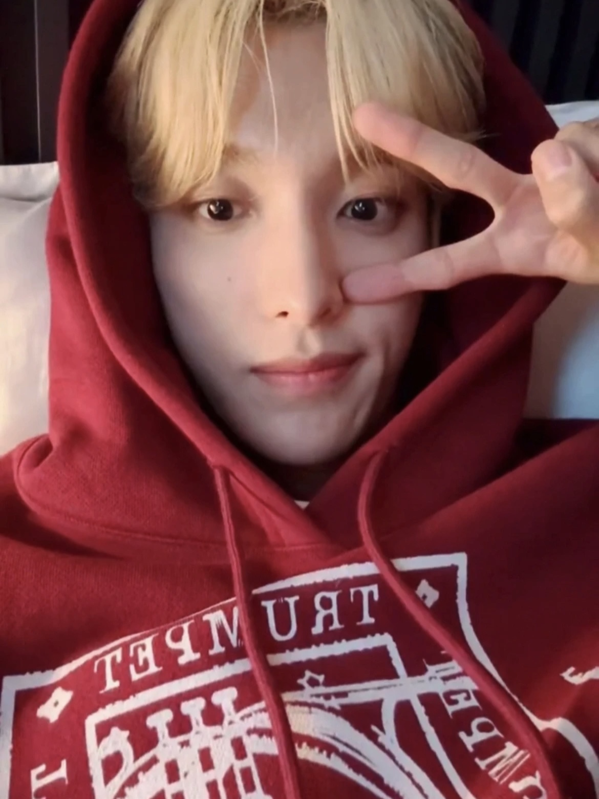 SEVENTEEN DK Inspired Graphic Red Hoodie