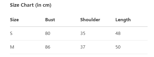 Newjeans Haerin & Danielle Inspired Mesh Short Sleeve Top - NJZ