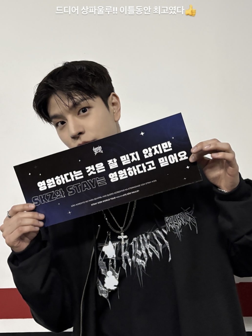 Straykids 2025 World Tour ‘dominATE’ Zip-up Hoodie