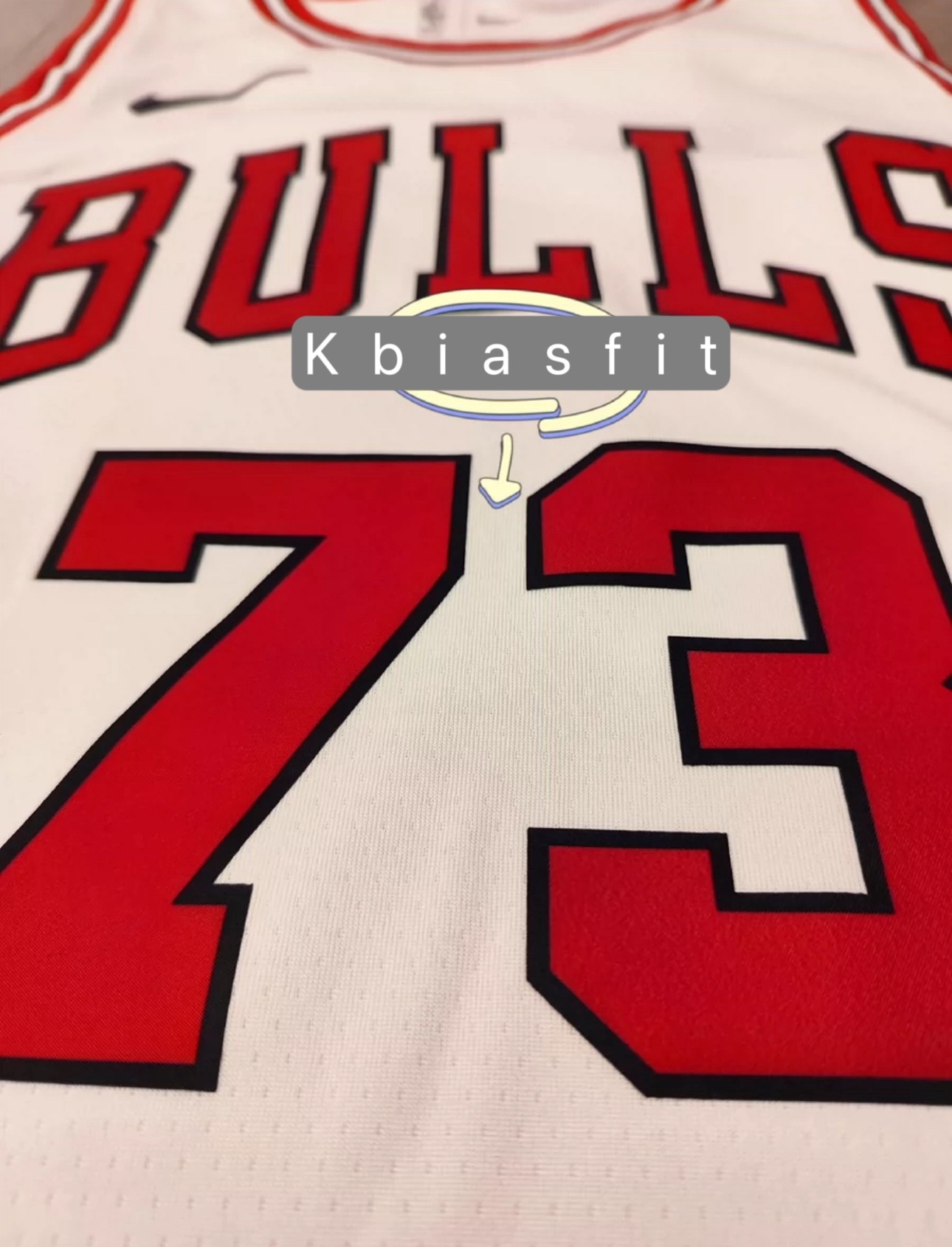 NEWJEANS HANNI customized Chicago Bulls 73 Jersey