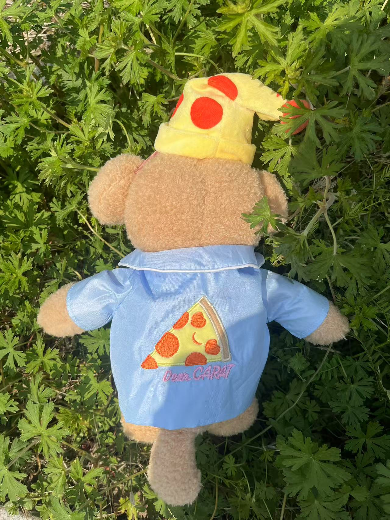 Seventeen DK Inspired DOA Plush Toy