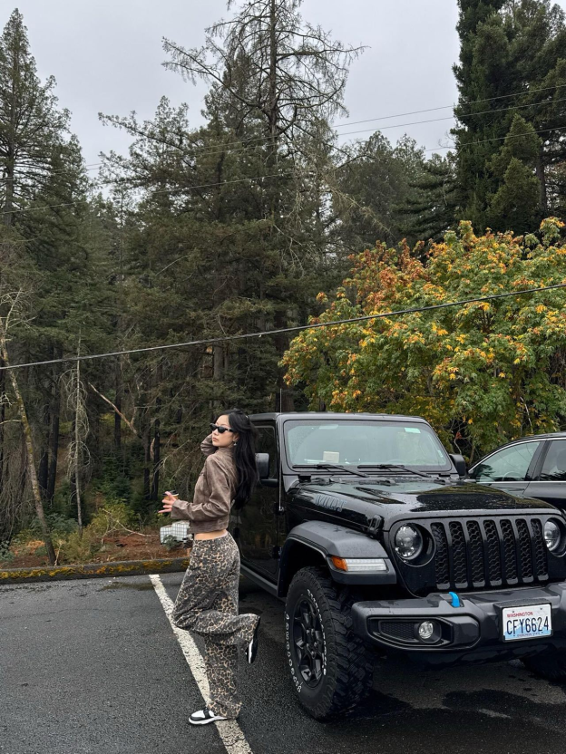 Leopard Print Wide Leg Jeans-Blackpink Jennie