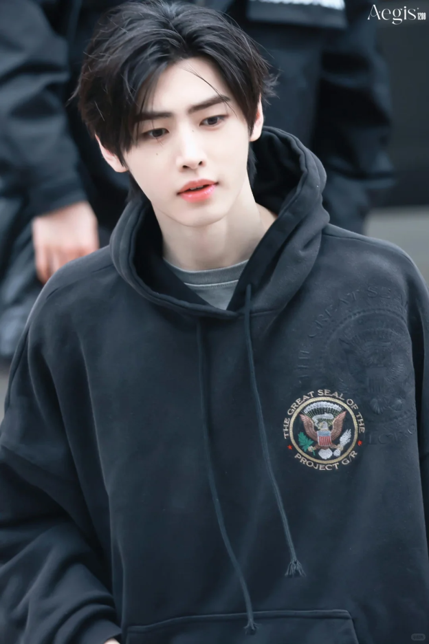 ENHYPEN Sunghoon Inspired Vintage Washed Badge Black Hoodie