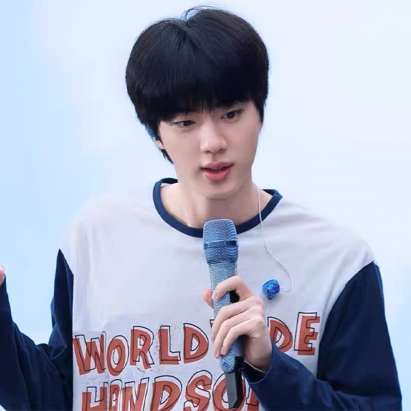 BTS JIN RunSeokjin Tour Merch Inspired T-shirt