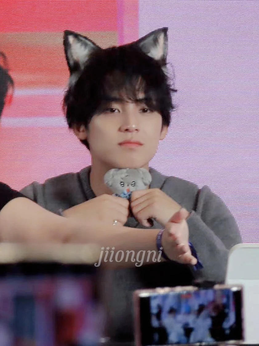 Seventeen Mingyu Inspired Doll Jjoguming&Nyomguming