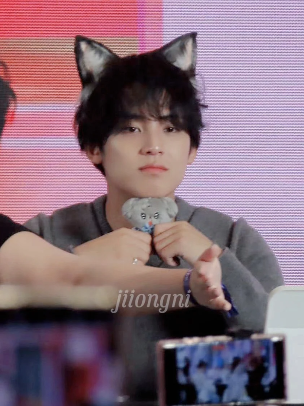 Seventeen Mingyu Inspired Doll Jjoguming&Nyomguming