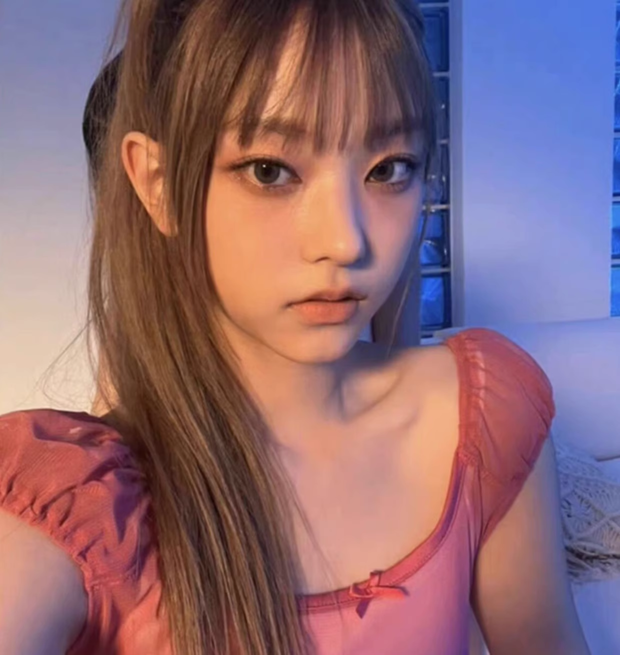 Newjeans Haerin & Danielle Inspired Mesh Short Sleeve Top - NJZ