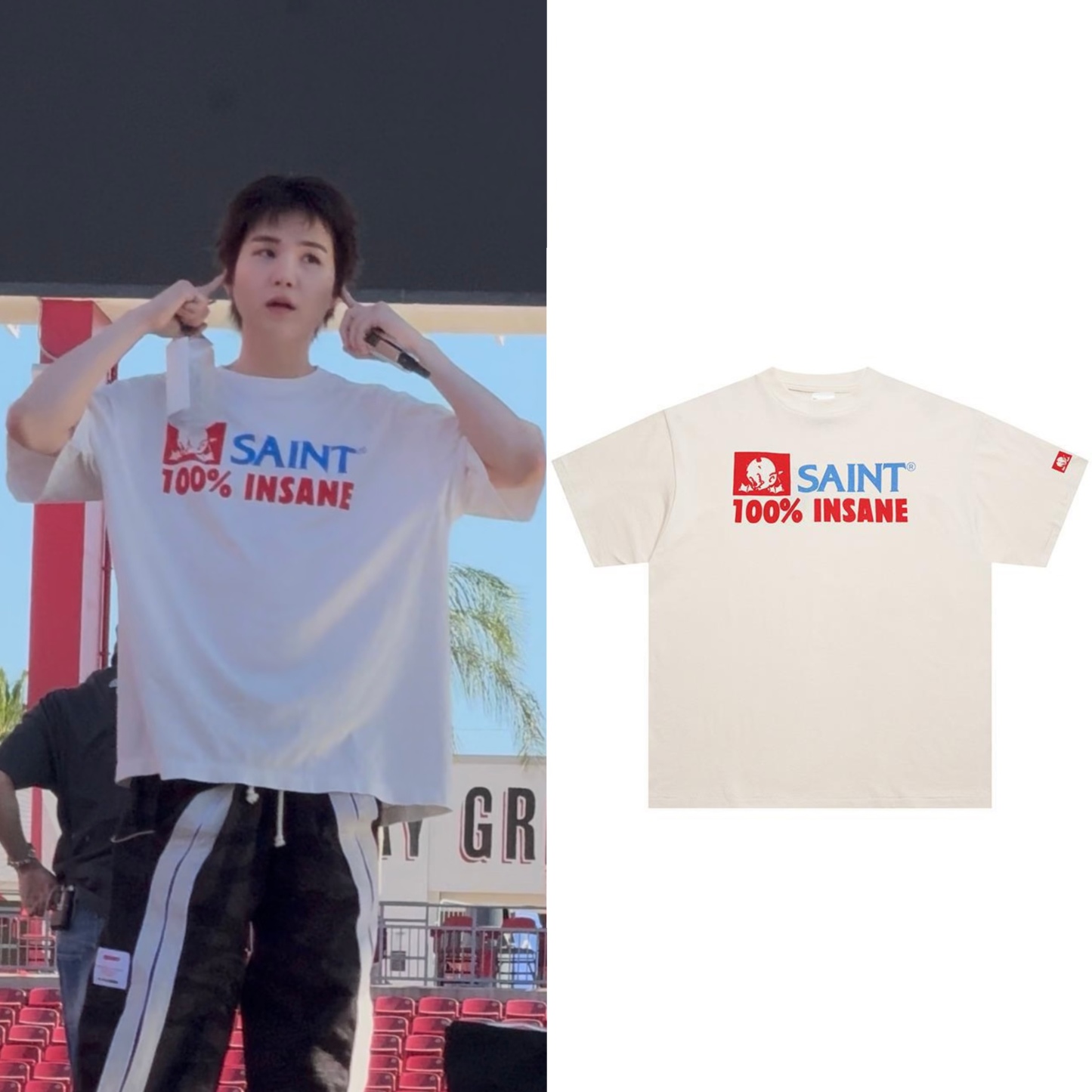 BTS SUGA Inspired 100% Insane Graphic Print T-Shirt