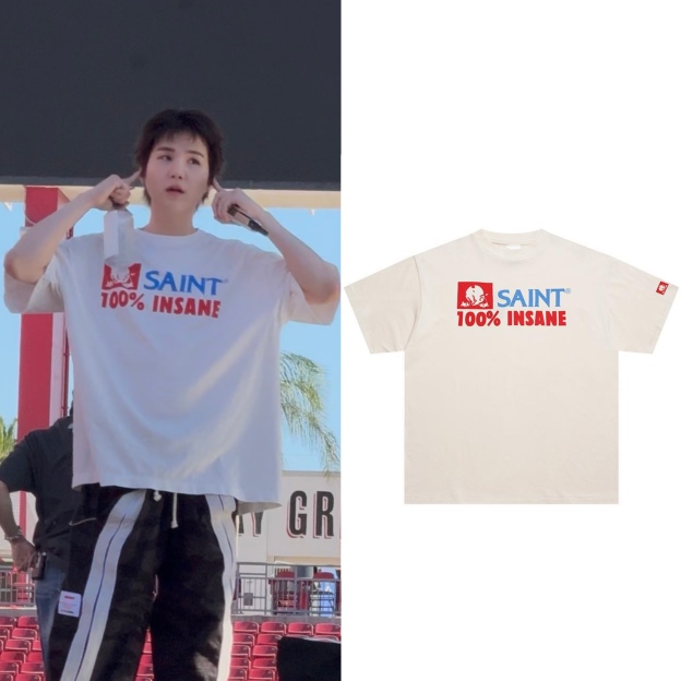 BTS SUGA Inspired 100% Insane Graphic Print T-Shirt