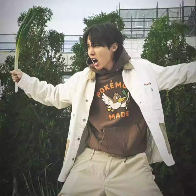  BTS RM&J-HOPE Inspired Pokémon Farfetch'd Hoodie