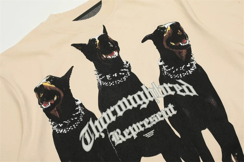 Stray kids Leeknow Inspired Thoroughbred Doberman Graphic Vintage T-Shirt