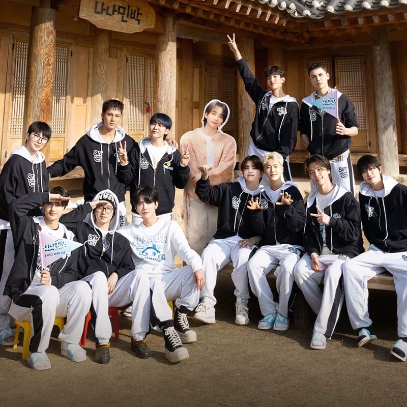 Seventeen nanatour merch inspired nanabnb hoodie