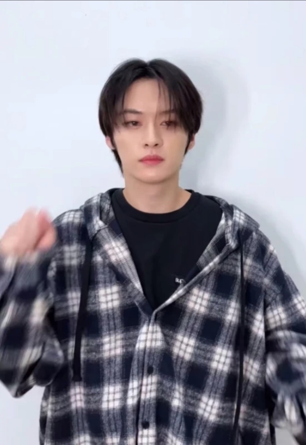 Stray kids Leeknow & Wayv YangYang inspired plaid Hooded Shirt