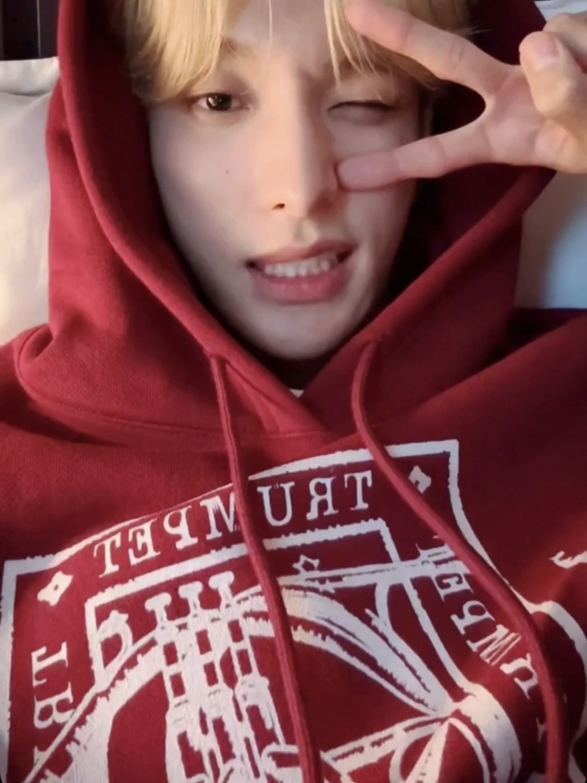 SEVENTEEN DK Inspired Graphic Red Hoodie