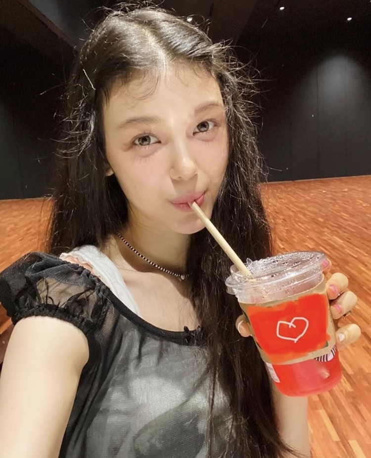 Newjeans Haerin & Danielle Inspired Mesh Short Sleeve Top - NJZ