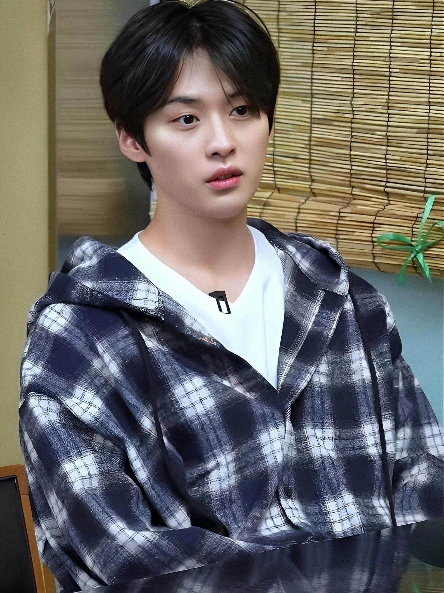 Stray kids Leeknow & Wayv YangYang inspired plaid Hooded Shirt