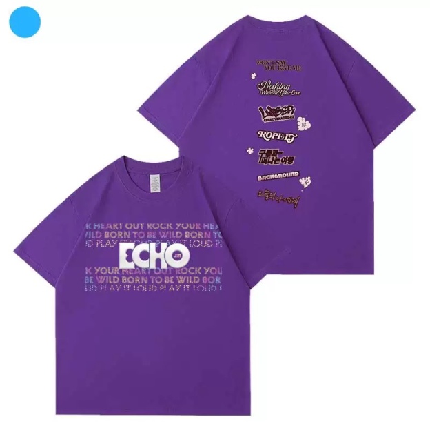 BTS Jin 2025 Echo Tour Official Inspired T-Shirt