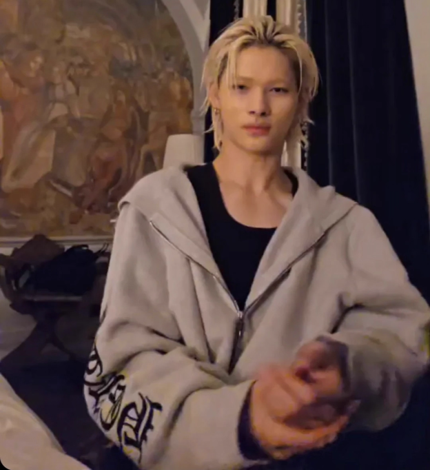 ENHYPEN Niki Inspired Grey Character Print Zip-Up Hoodie