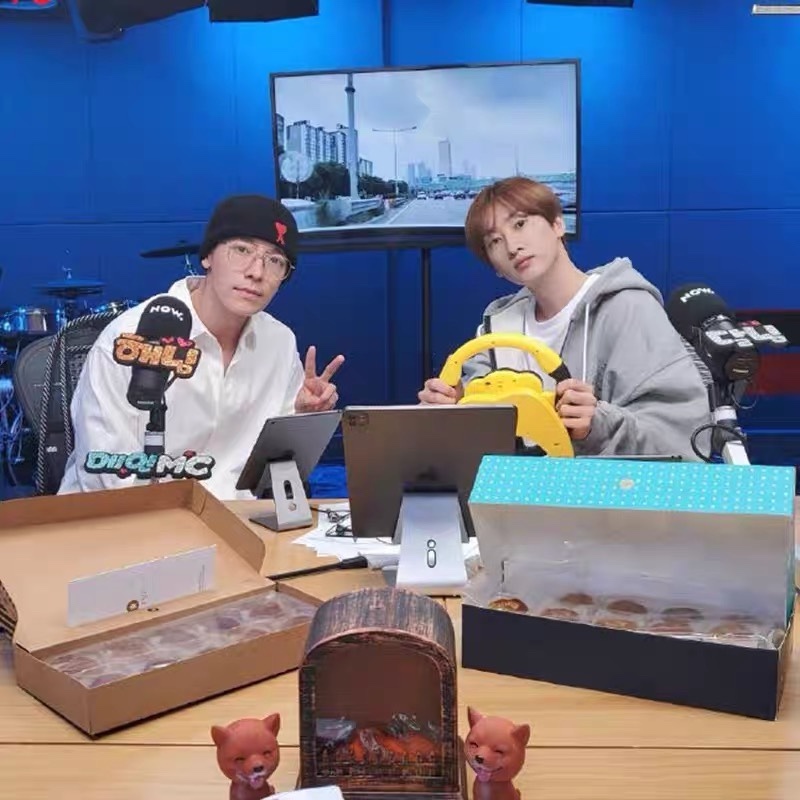 SEVENTEEN S.Coups&Jeonghan Inspired Gray Zip-up Hoodie