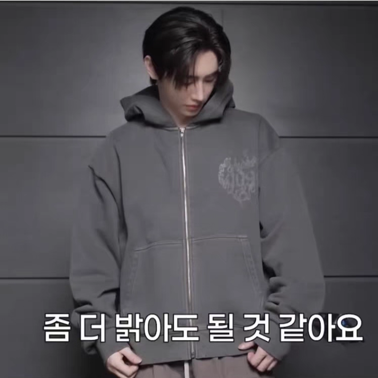 Enhypen Artist-Made Inspired Sunghoon Zip-up Hoodie