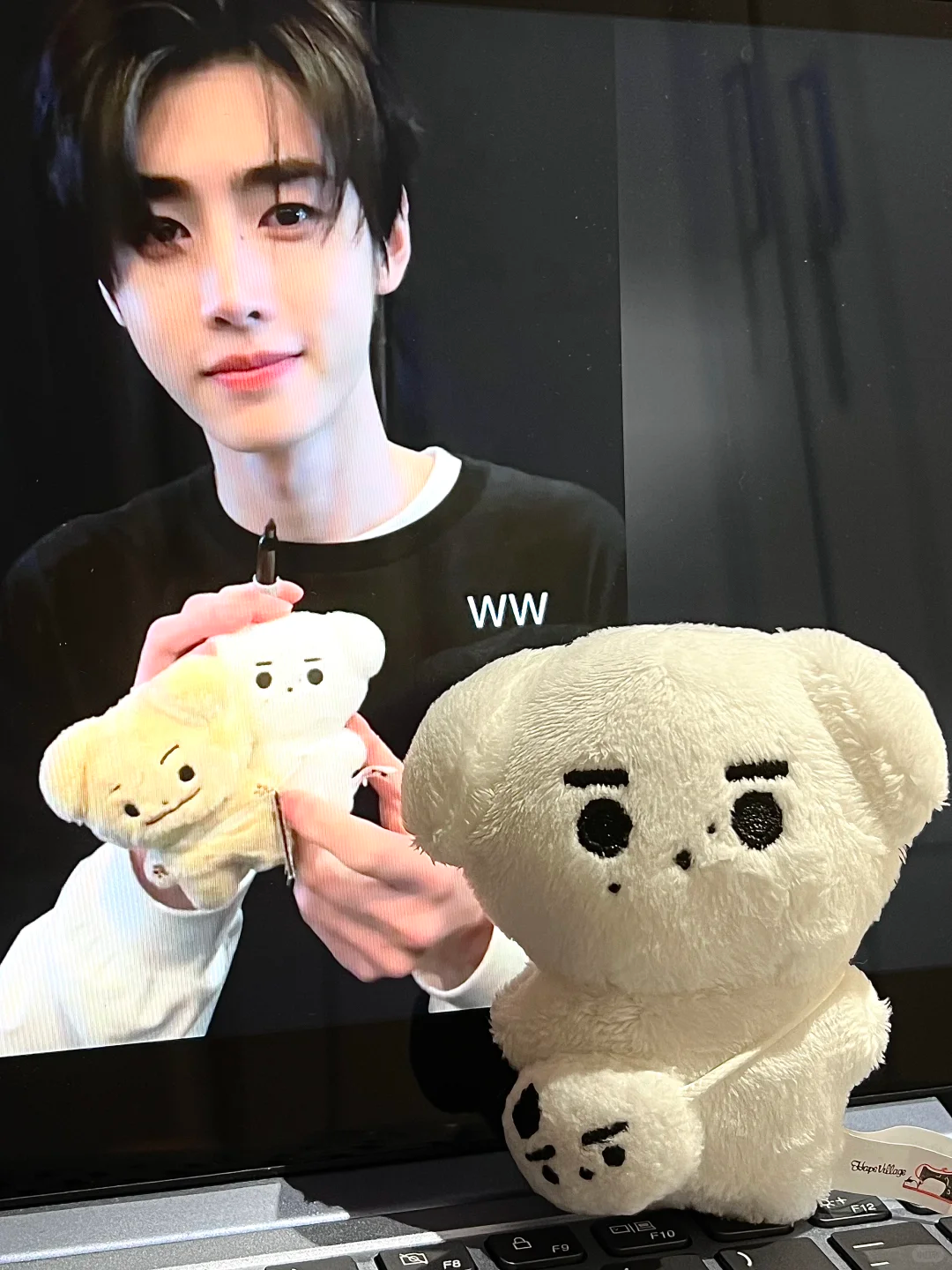ENHYPEN Sunghoon Inspired Cotton Doll Hoondaeng