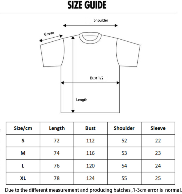 Enhypen Niki&Seventeen Mingyu Inspired Coastal Sunset Retro T-shirt