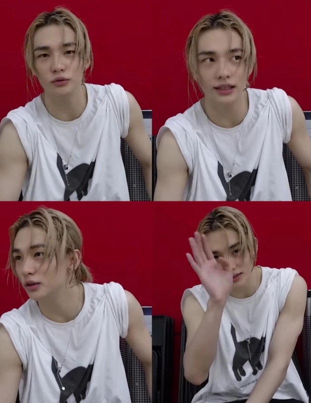 Stray Kids Hyunjin Cat Print InspiredOversized Cotton T-Shirt-straykids