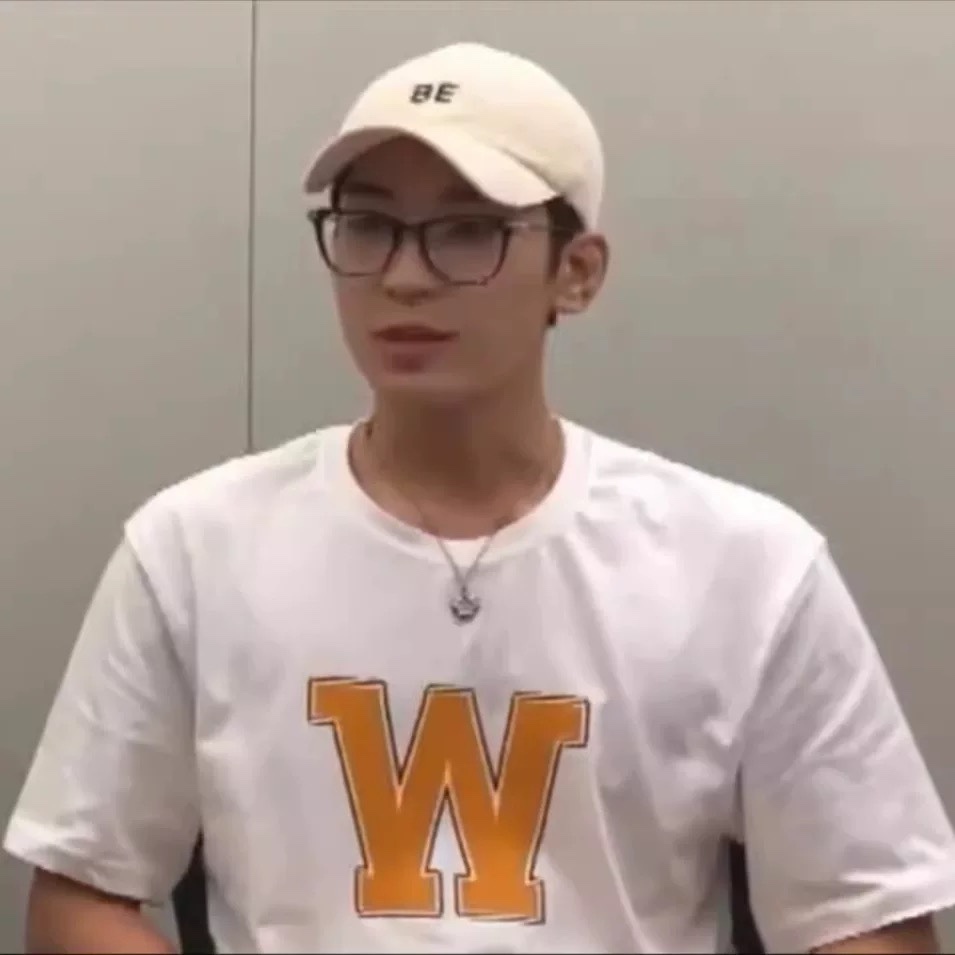 SEVENTEEN Wonwoo & Mingyu  INSPIRED W Logo T-Shirt 