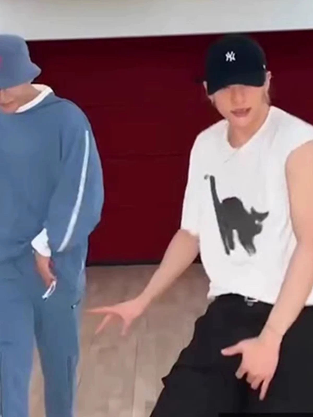 Stray Kids Hyunjin Cat Print InspiredOversized Cotton T-Shirt-straykids