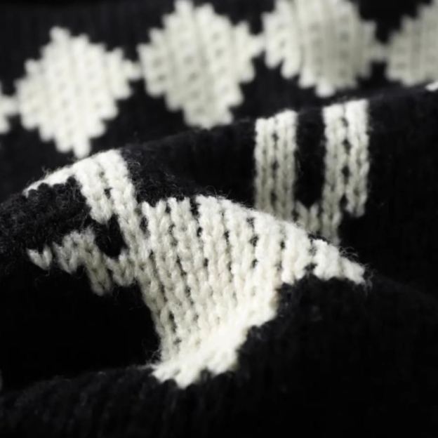 Hooded Sweater Zipper Cardigan-Aespa Karina