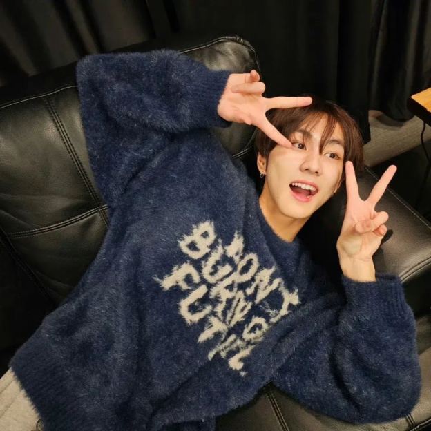ENHYPEN Jungwon Inspired Mohair Sweater