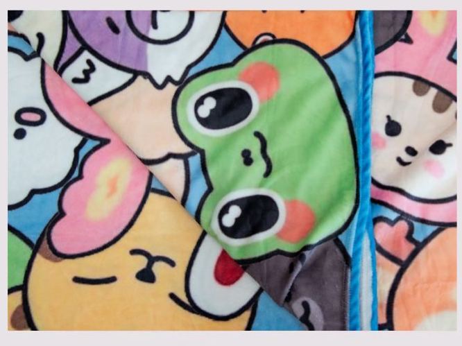 Seventeen Miniteen Merch Inspired Blanket