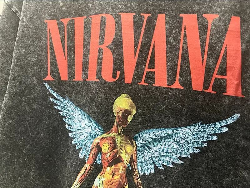 Stray Kids Hyunjin Inspired Nirvana In Utero Angelic T-Shirt