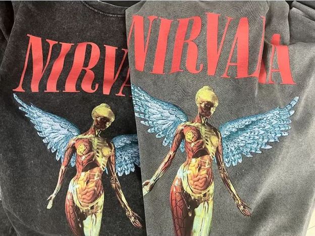 Stray Kids Hyunjin Inspired Nirvana In Utero Angelic T-Shirt