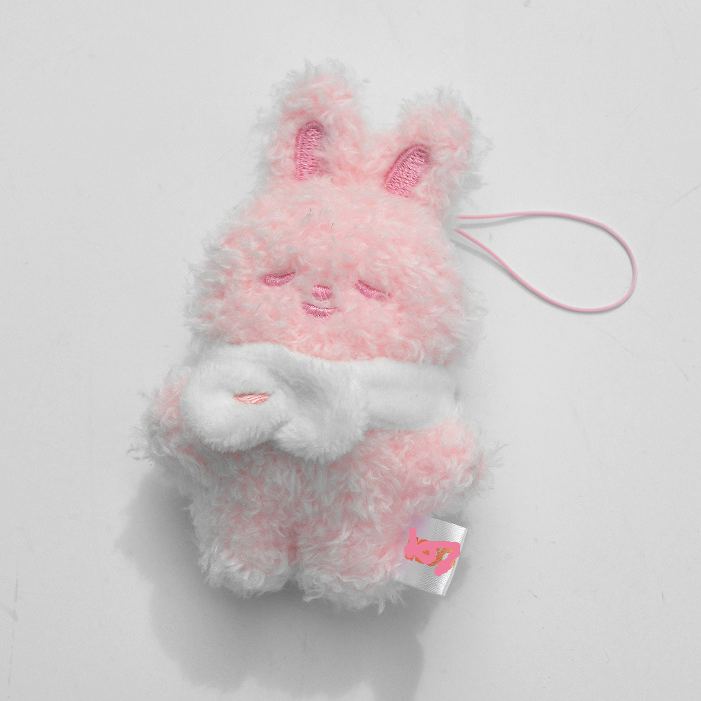 Stray kids Inspired Skzoo Secret Plush