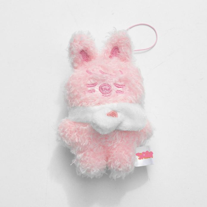 Stray kids Inspired Skzoo Secret Plush