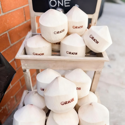 Custom Coconut Brand Iron, Coconut Branding Iron Custom, Custom Coconut Stamp, Custom Wood Branding Iron For Woodworkers, Leather Stamp